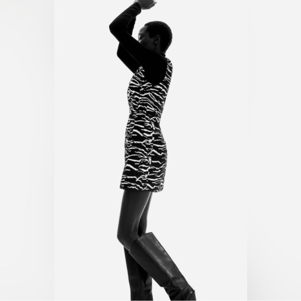 Chic H&M Black & White Zebra Print Sleeveless Dress vedio - Picture 5 of 8